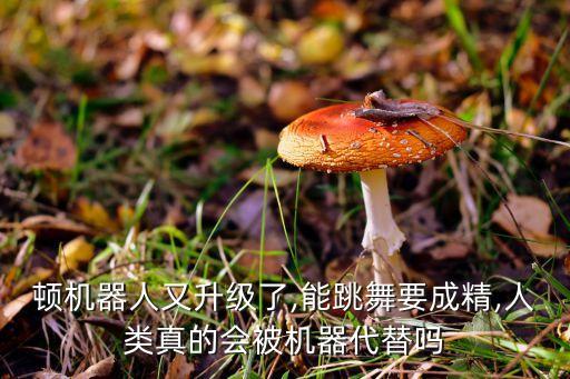 會(huì)彈琴的機(jī)器人的視頻教程,編程機(jī)器人視頻課程