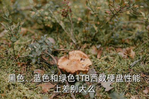西部數(shù)據(jù)black兩種版本