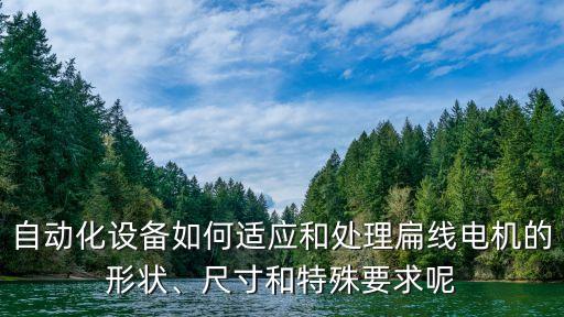 自動(dòng)化設(shè)備如何適應(yīng)和處理扁線電機(jī)的形狀、尺寸和特殊要求呢