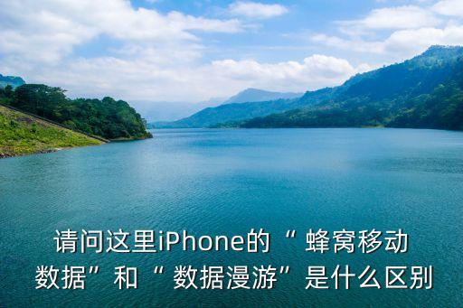 請問這里iPhone的“ 蜂窩移動 數(shù)據(jù)”和“ 數(shù)據(jù)漫游”是什么區(qū)別