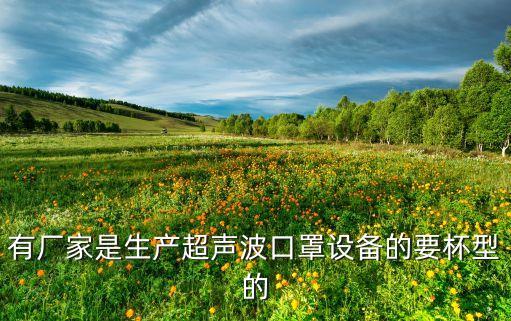 自動化伺服超聲波生產(chǎn)公司,自動超聲波檢測