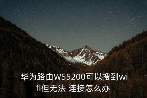 華為路由器 不自動連接無線網(wǎng)絡(luò)
