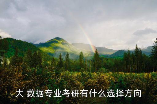 大 數(shù)據(jù)專業(yè)考研有什么選擇方向
