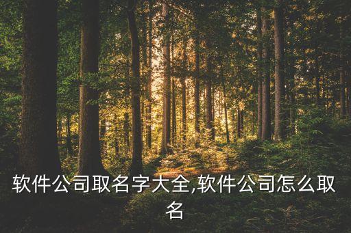 軟件公司取名字大全,軟件公司怎么取名