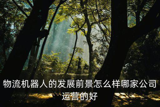 物流機(jī)器人的發(fā)展前景怎么樣哪家公司運(yùn)營(yíng)的好