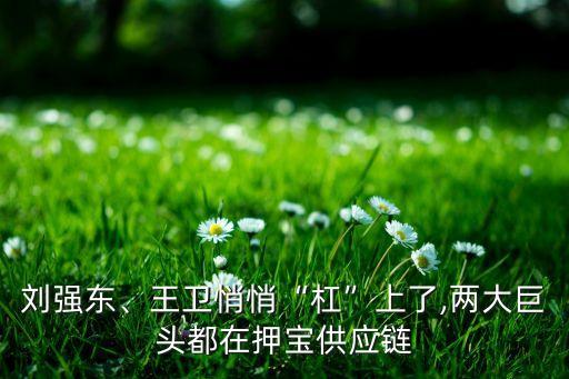 順豐自動(dòng)化設(shè)備升級(jí),順豐快遞怎么升級(jí)?