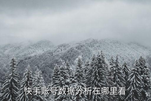快手?jǐn)?shù)據(jù),快手查賬號(hào)權(quán)重和數(shù)據(jù)方法如下