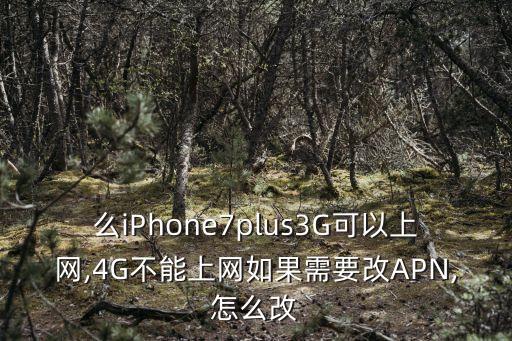 么iPhone7plus3G可以上網(wǎng),4G不能上網(wǎng)如果需要改APN,怎么改