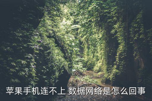 蘋果手機連不上 數(shù)據(jù)網(wǎng)絡是怎么回事