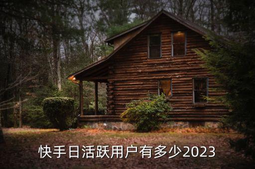 快手日活躍用戶有多少2023