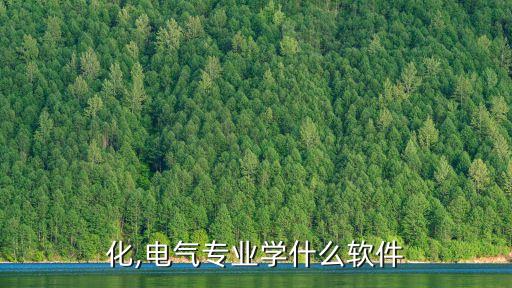 化,電氣專業(yè)學(xué)什么軟件