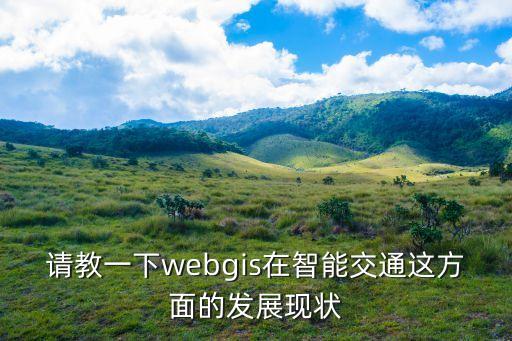 請教一下webgis在智能交通這方面的發(fā)展現(xiàn)狀
