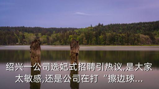 紹興一公司選妃式招聘引熱議,是大家太敏感,還是公司在打“擦邊球...
