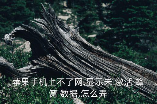 蘋果手機(jī)上不了網(wǎng),顯示未 激活 蜂窩 數(shù)據(jù),怎么弄