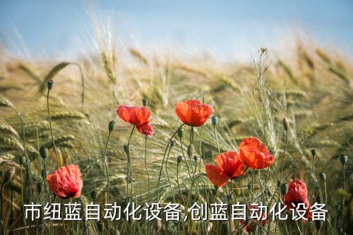 市紐藍自動化設(shè)備,創(chuàng)藍自動化設(shè)備