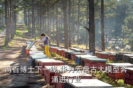 深圳盤古數(shù)據(jù) 精功,盤古智能什么時(shí)候開放?