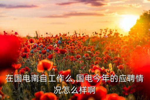 在國(guó)電南自工作么,國(guó)電今年的應(yīng)聘情況怎么樣啊