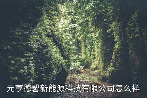 元亨德馨新能源科技有限公司怎么樣
