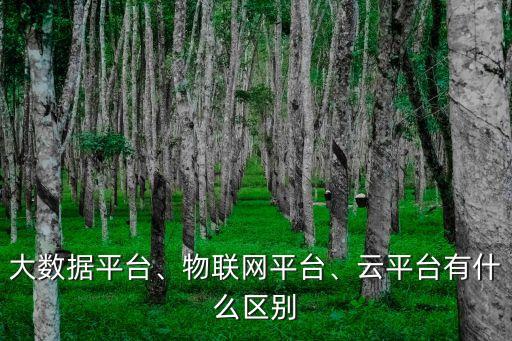 大數(shù)據(jù)平臺(tái)、物聯(lián)網(wǎng)平臺(tái)、云平臺(tái)有什么區(qū)別