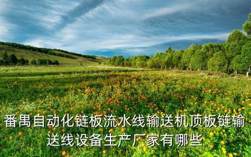 番禺自動化鏈板流水線輸送機(jī)頂板鏈輸送線設(shè)備生產(chǎn)廠家有哪些