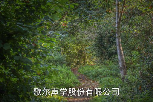 歌爾聲學(xué)股份有限公司