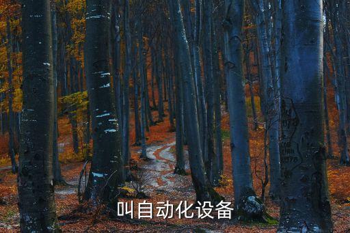 叫自動化設(shè)備