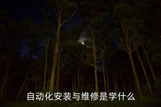 自動化安裝與維修是學什么