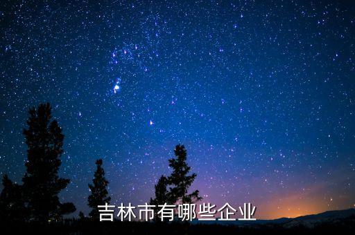 吉林市有哪些企業(yè)