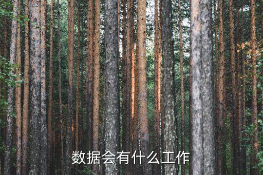 數(shù)據(jù)會有什么工作