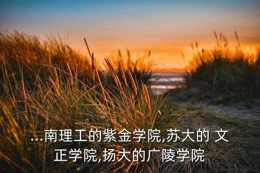 ...南理工的紫金學(xué)院,蘇大的 文正學(xué)院,揚(yáng)大的廣陵學(xué)院