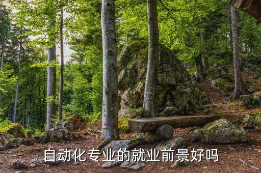 自動(dòng)化設(shè)備工程師個(gè)人優(yōu)勢(shì),自動(dòng)化工程師的工作內(nèi)容
