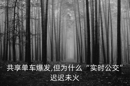 佛山共享單車數(shù)據(jù),共享單車爆發(fā)從中挖掘有用數(shù)據(jù)?