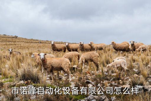 市諾峰自動化設(shè)備有限公司怎么樣