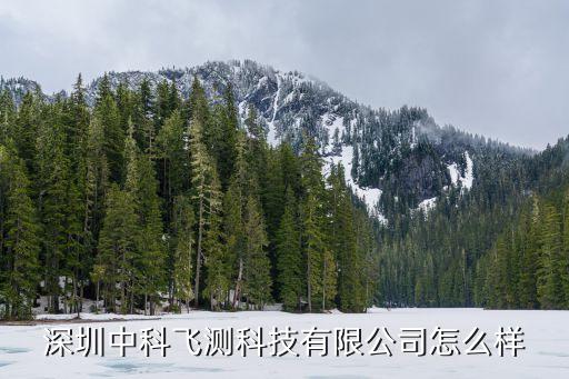 深圳市立工自動(dòng)化設(shè)備,旭崇自動(dòng)化設(shè)備有限公司怎么樣很好!