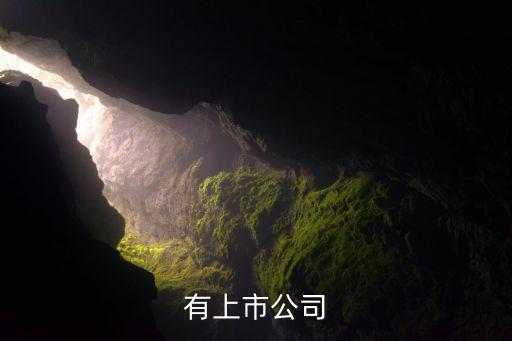 鞋服自動(dòng)化上市公司,自動(dòng)化龍頭上市公司