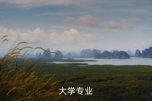 電氣自動(dòng)化廈門大學(xué),廈門大學(xué)電氣自動(dòng)化專業(yè)