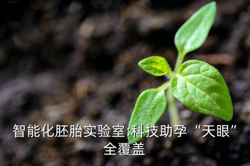 智能化胚胎實(shí)驗(yàn)室:科技助孕“天眼”全覆蓋