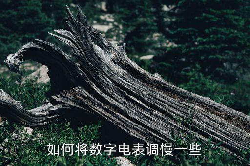 如何將數(shù)字電表調(diào)慢一些