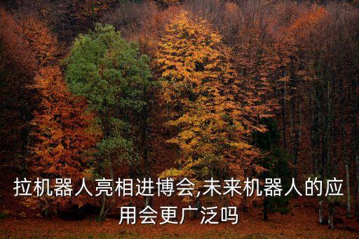 機(jī)器人將應(yīng)用于日本賓館業(yè),日本機(jī)器人酒店