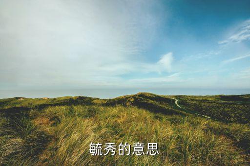 上海毓流自動(dòng)化設(shè)備,表示時(shí)鐘在流動(dòng),很美