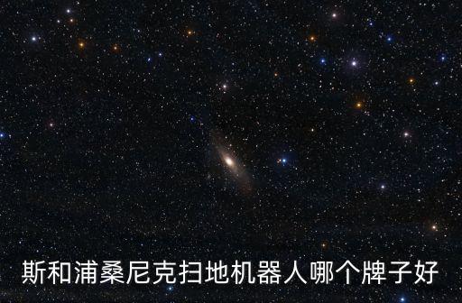 斯和浦桑尼克掃地機器人哪個牌子好