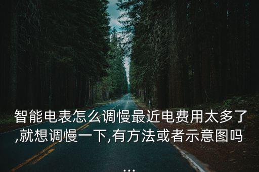  智能電表怎么調(diào)慢最近電費(fèi)用太多了,就想調(diào)慢一下,有方法或者示意圖嗎...