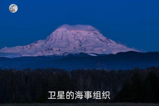 衛(wèi)星的海事組織