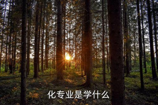 化專業(yè)是學(xué)什么