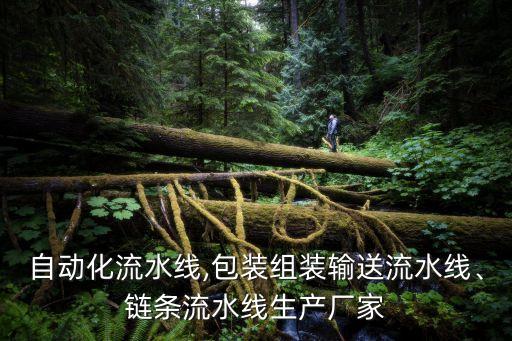 威武自動(dòng)化組裝設(shè)備,非標(biāo)準(zhǔn)自動(dòng)化設(shè)備裝配