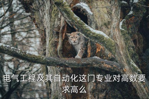 自動化專業(yè)數(shù)學要求,自動化專業(yè)對高數(shù)要求高么?
