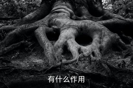 海上衛(wèi)星數(shù)據(jù),漁場(chǎng)衛(wèi)星海上通信