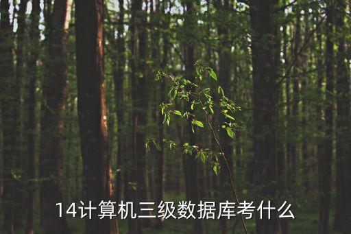 14計(jì)算機(jī)三級(jí)數(shù)據(jù)庫考什么