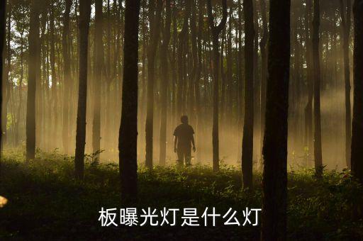 臺(tái)州皮線燈自動(dòng)化設(shè)備,什么是電路板曝光燈?