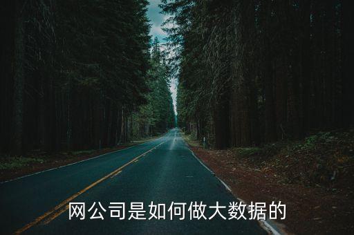 大數(shù)據(jù)小公司能做嗎,重慶大數(shù)據(jù)公司